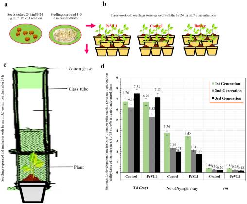Reveals that insects feeding on PeVL1-treated plants had fewer offspring, and all generations grew more slowly.